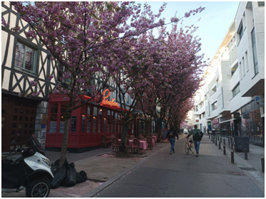 Rouen.png