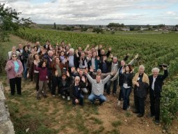 2017 Dijon #3